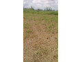 plot-for-sale-in-dola-hill-small-0