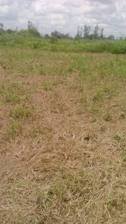 plot-for-sale-in-dola-hill-big-0