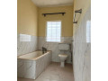 4-bedroom-house-for-rent-in-avondale-small-8