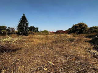 Plot For Sale In Ibex Hill