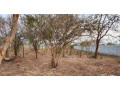 plot-for-sale-in-ibex-meanwood-small-1