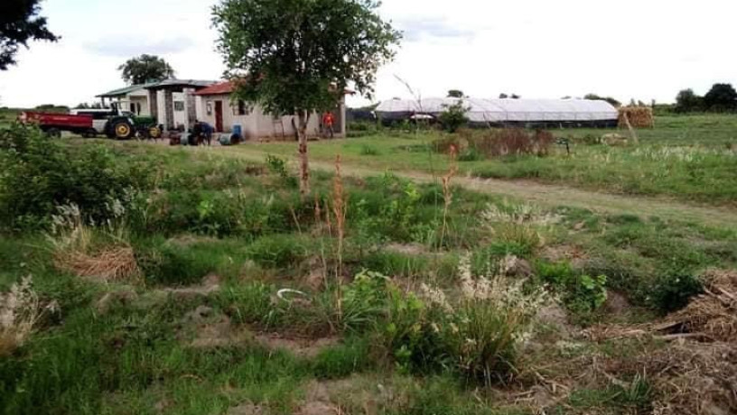 100-hectares-farm-for-sale-along-mumba-road-big-4