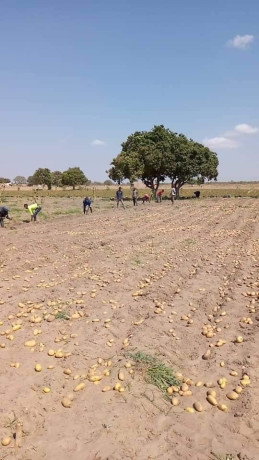 100-hectares-farm-for-sale-along-mumba-road-big-2
