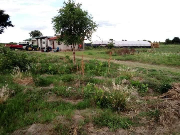 100-hectares-farm-for-sale-along-mumba-road-big-4