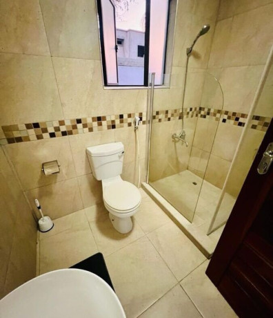 3-bedroom-house-for-rent-in-roma-big-7