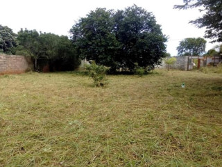 Plot For Sale in New Kasama