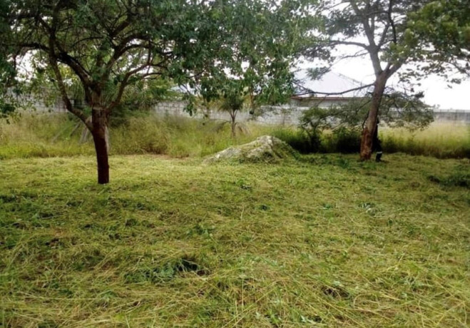 plot-for-sale-in-new-kasama-big-1