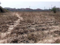 plot-for-sale-in-ibex-hill-small-0