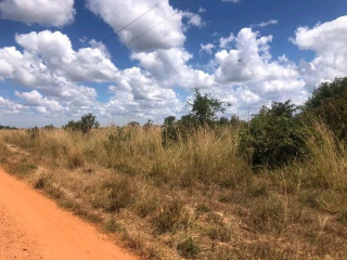 Plot For Sale in Chalala