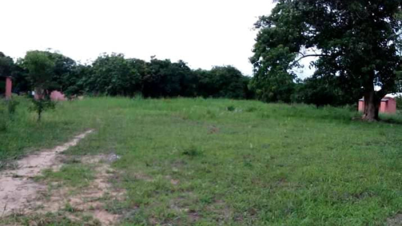 10-hectares-for-sale-in-kasisi-big-0