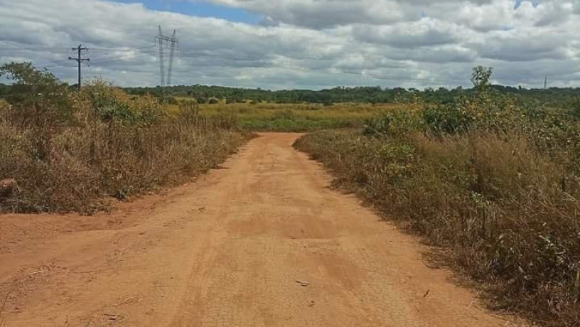 5-acre-plot-for-sale-in-mapepe-big-1