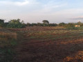 5-acre-plot-for-sale-in-ibex-hill-small-3