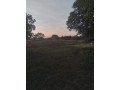 5-acre-plot-for-sale-in-ibex-hill-small-5