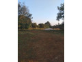 5-acre-plot-for-sale-in-ibex-hill-small-1