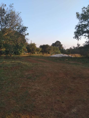 5-acre-plot-for-sale-in-ibex-hill-big-1