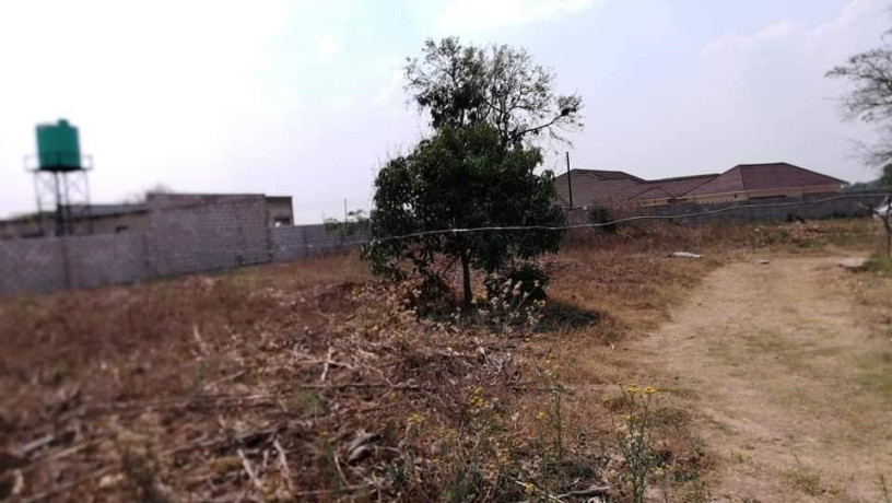 plot-for-sale-in-silverest-big-0