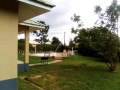 3-bedroom-house-for-rent-in-foxdale-small-1