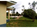 3-bedroom-house-for-rent-in-foxdale-small-1