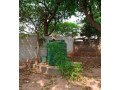 3-bedroom-house-for-rent-in-phi-small-8