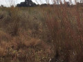 47-hectare-land-for-sale-in-kapiri-mposhi-small-1