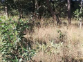 47-hectare-land-for-sale-in-kapiri-mposhi-small-4