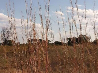 47 Hectare Land For Sale In Kapiri Mposhi