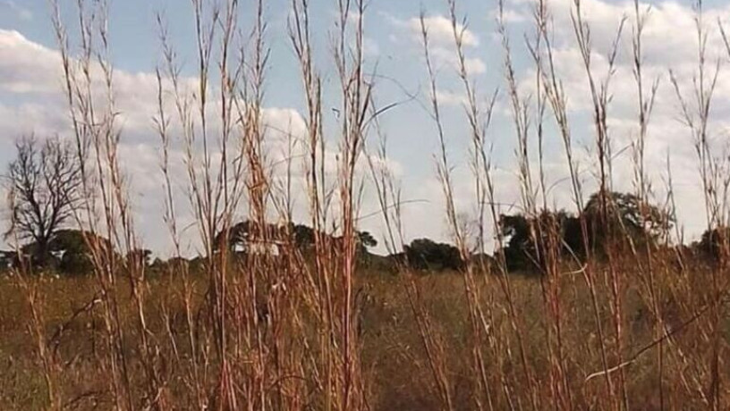 47-hectare-land-for-sale-in-kapiri-mposhi-big-0