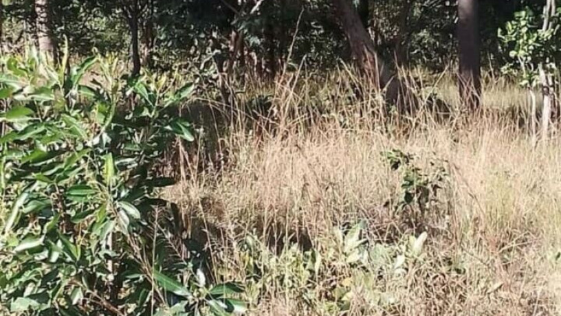 47-hectare-land-for-sale-in-kapiri-mposhi-big-4