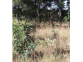 47-hectare-land-for-sale-in-kapiri-mposhi-small-4