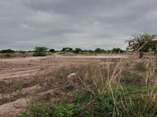 600-sqm-plots-for-sale-in-silverest