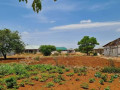 plot-for-sale-in-chalala-small-1