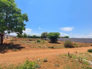 Plot For Sale in Chalala