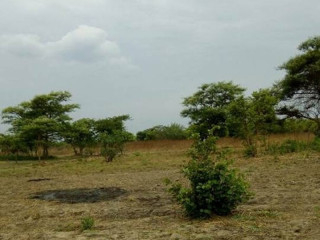 Land For Sale in Kapiri Mposhi