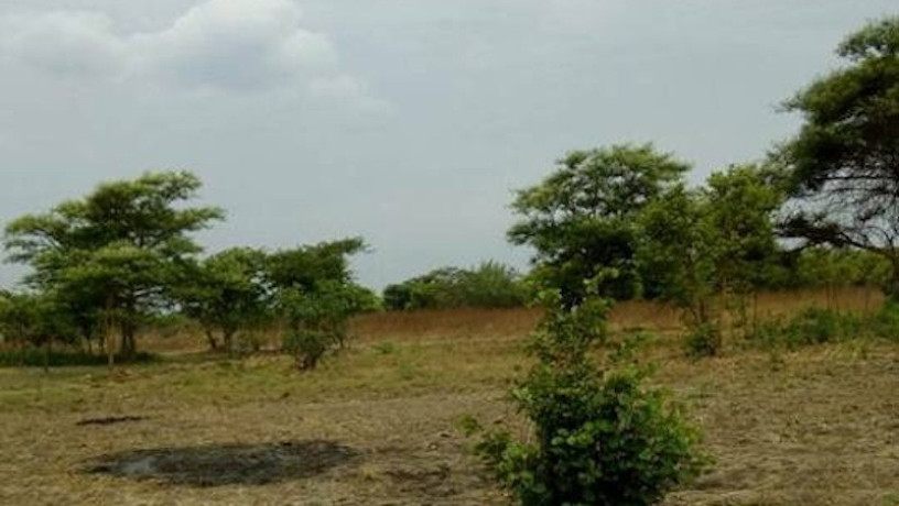 land-for-sale-in-kapiri-mposhi-big-0