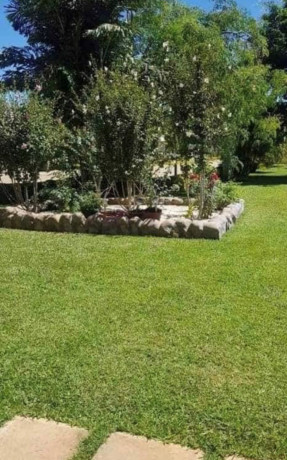 3-bedroom-house-for-rent-in-ibex-hill-big-6