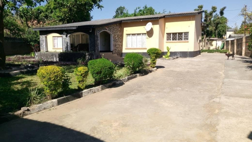 5-bedroom-house-for-rent-in-olympia-big-0