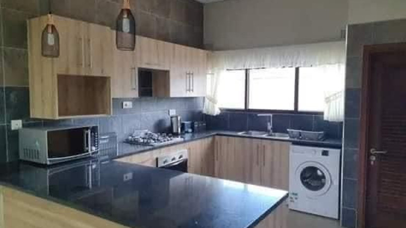 2-bedroom-apartment-for-rent-in-roma-park-big-1