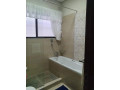 2-bedroom-apartment-for-rent-in-roma-park-small-7