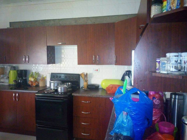 luxurious-two-bedroom-flat-in-avondale-big-1