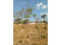 plots-for-sale-in-ibex-meanwood-small-0