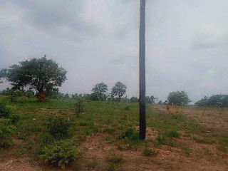 3000sqm Plot For Sale in Chongwe