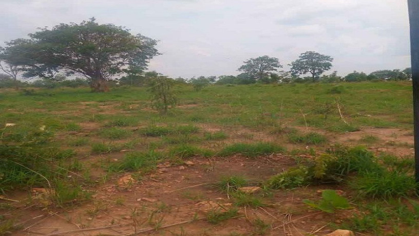 3000sqm-plot-for-sale-in-chongwe-big-1