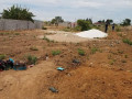 plot-for-sale-in-meanwood-ndeke-small-1