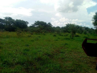 7.7 Acres Small Holdings for Sale in Chisamba