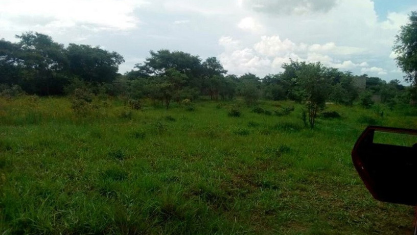 77-acres-small-holdings-for-sale-in-chisamba-big-0