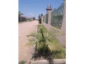 3-bedroom-house-for-sale-in-meanwood-chamba-valley-small-5