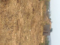 land-for-sale-in-framers-kalundu-small-2