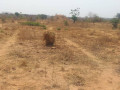 land-for-sale-in-framers-kalundu-small-3