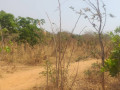 land-for-sale-in-framers-kalundu-small-4