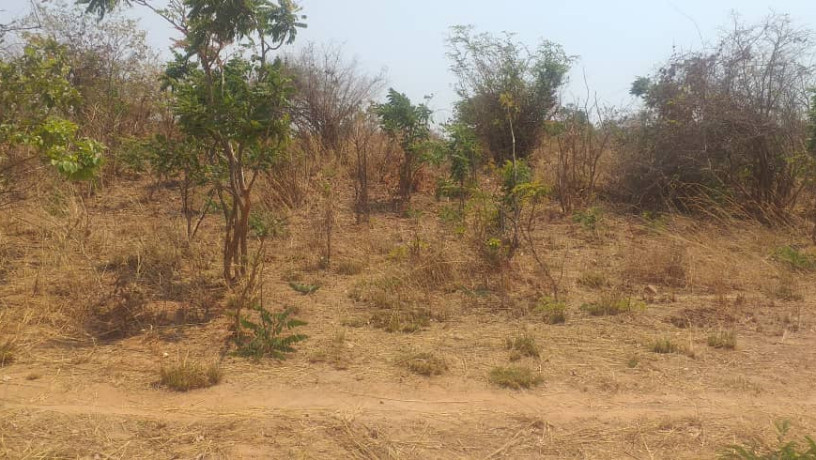 land-for-sale-in-framers-kalundu-big-1